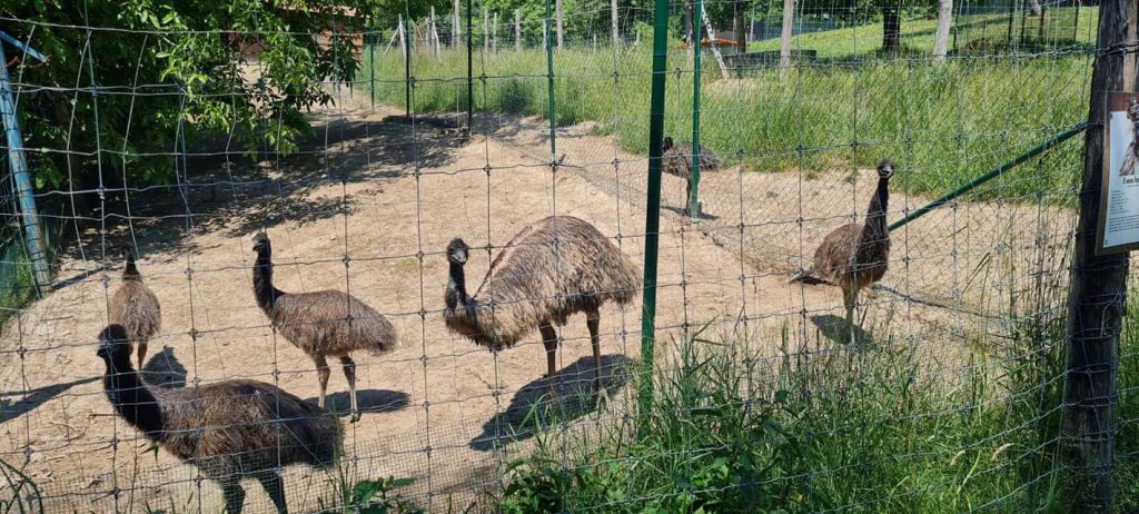 Víkend v Zveroparku - fototip na výlet