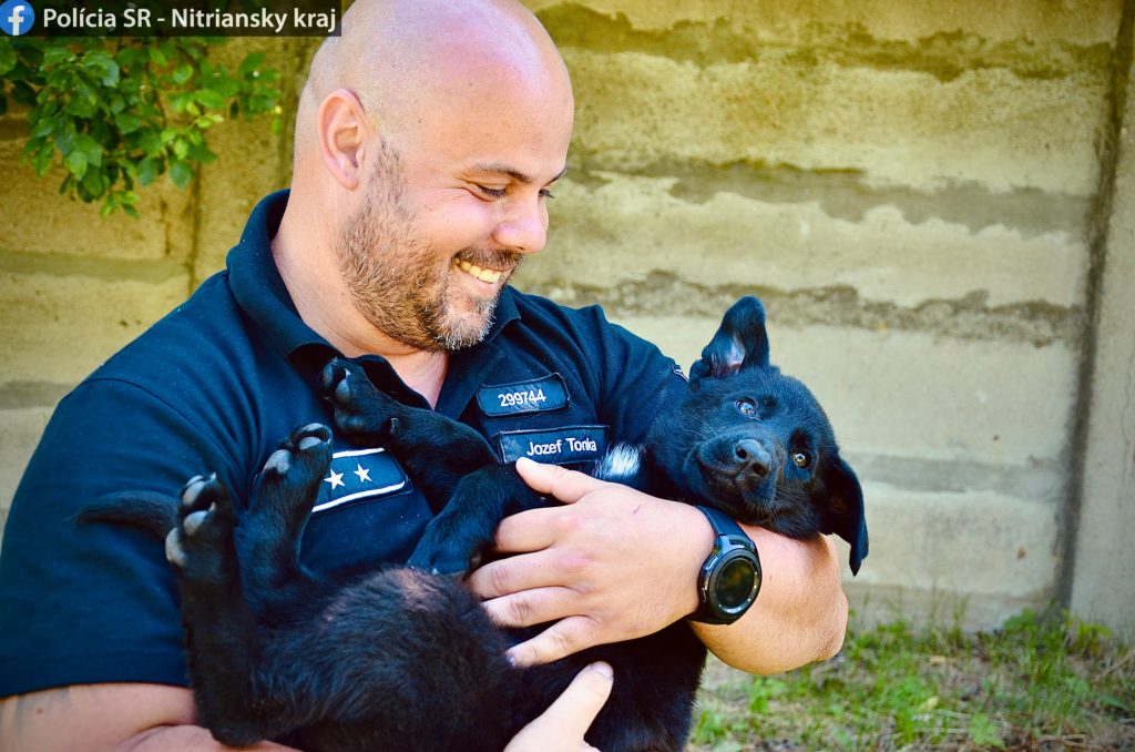 Pozrite sa, akú krásnu štvornohú posilu dostala nitrianska polícia!