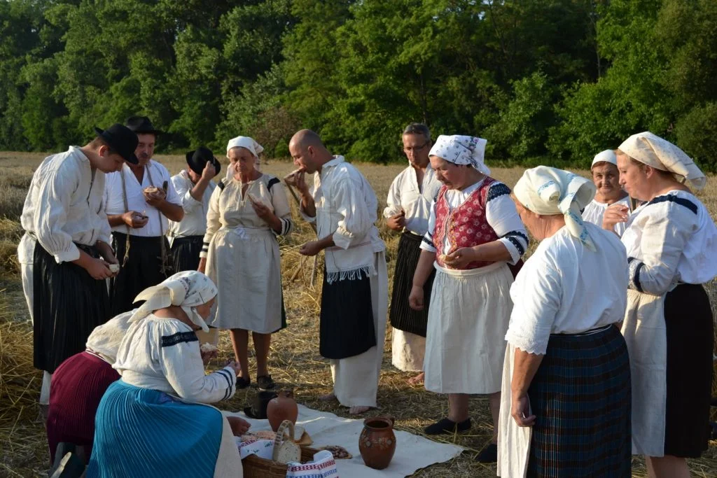 Csemadok: Žatva, ako ju už možno dnes nepoznáte (foto)