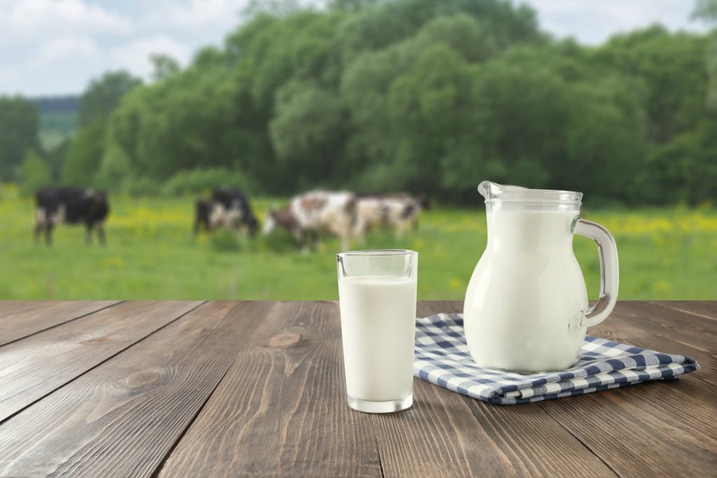 AGRO: Nákupná cena mlieka v máji klesla