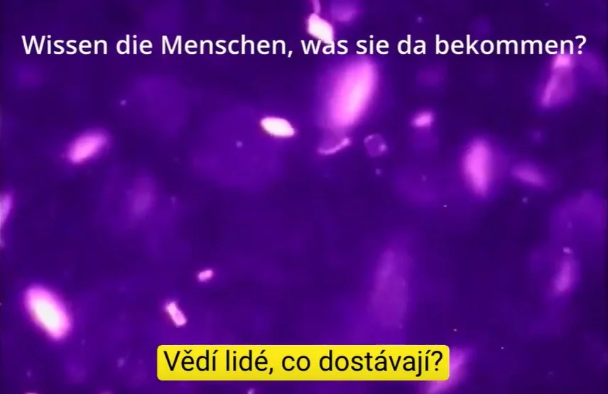 Doktor Andreas Noack bol označený za konšpiračného teoretika, čo však zistil o vakcínach? (video)