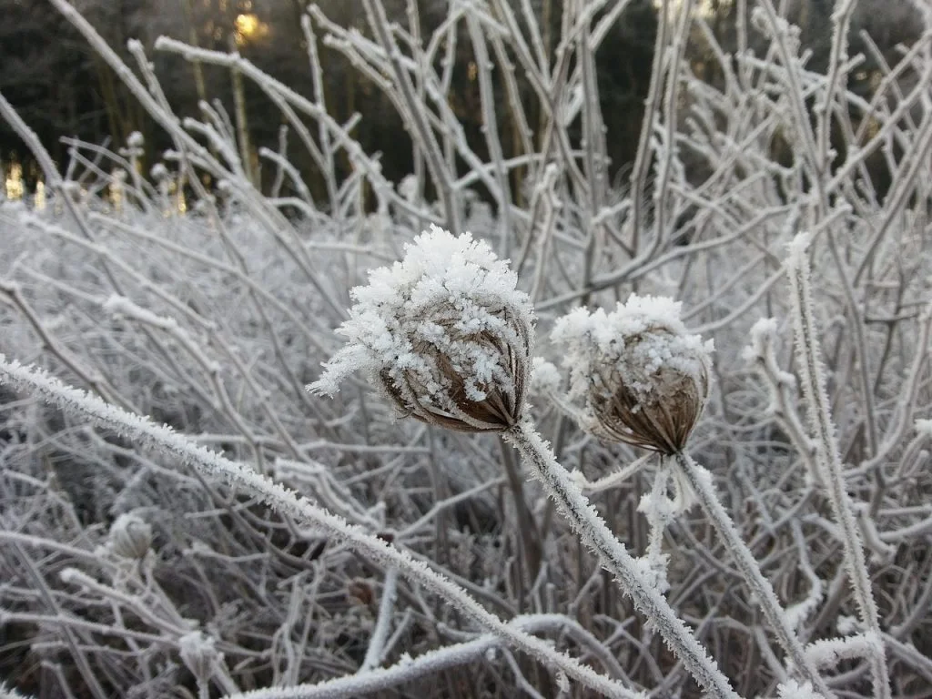 Počasie pre Slovensko na sobotu 8. a nedeľu 9. januára